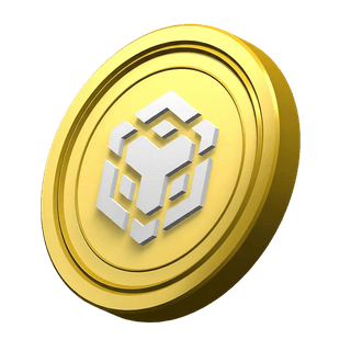 Decorative BNB coin displayed in the platform's information section